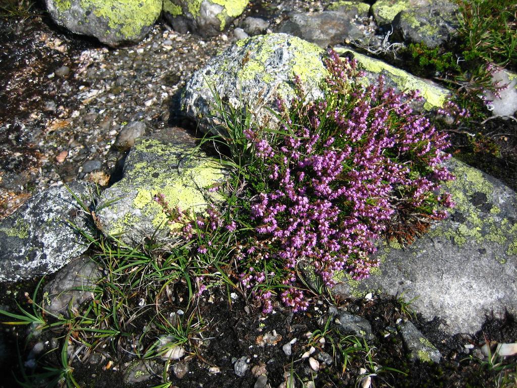 Norefjell - Storhytte Med Jacuzzi Og Fantastisk Beliggenhet Noresund Luaran gambar