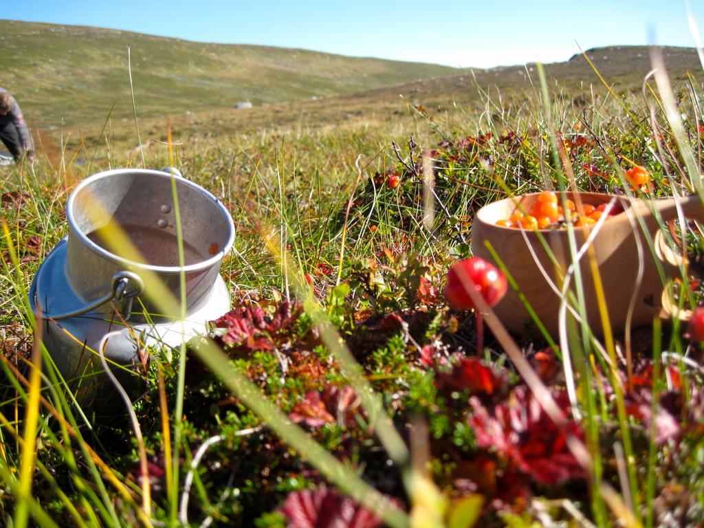Norefjell - Storhytte Med Jacuzzi Og Fantastisk Beliggenhet Noresund Luaran gambar