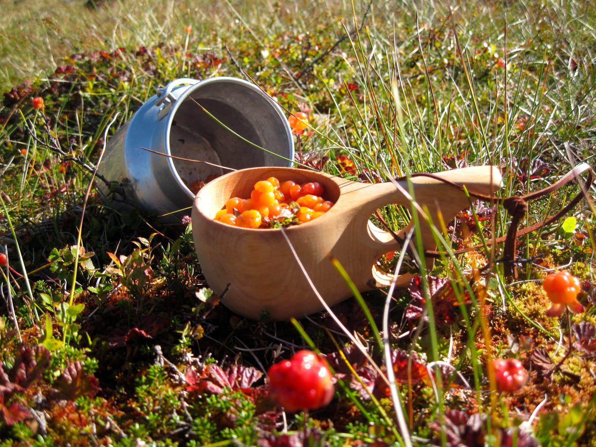 Norefjell - Storhytte Med Jacuzzi Og Fantastisk Beliggenhet Noresund Luaran gambar